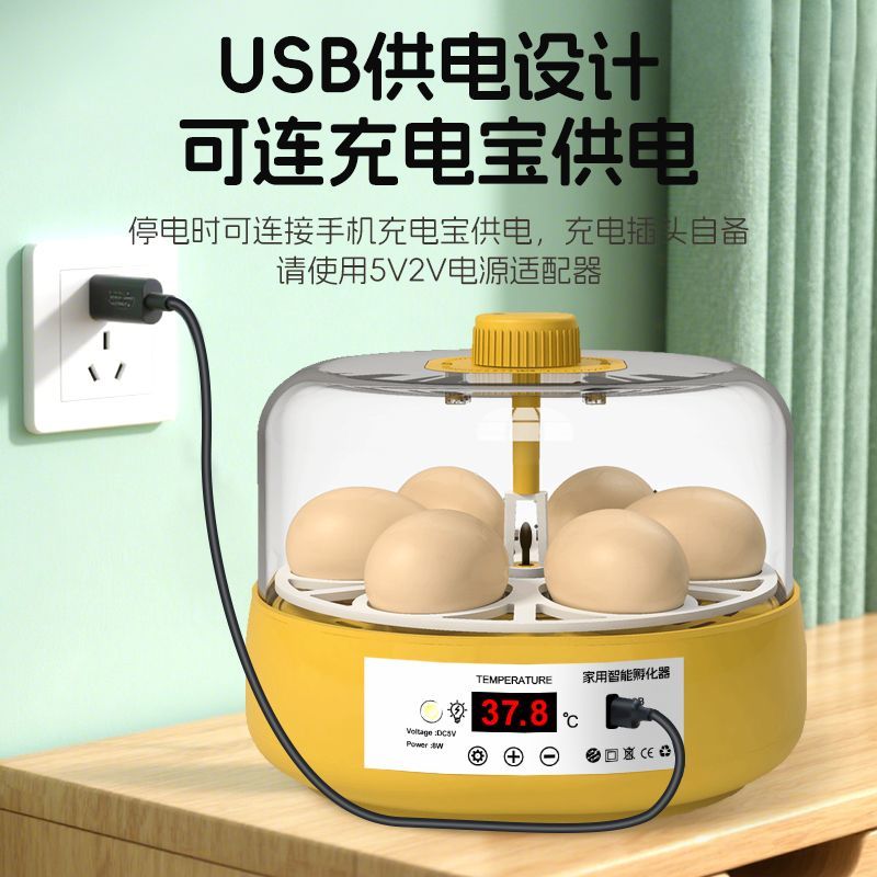 孵化器娜姐同款全自动芦丁鸡小鸡小鸭鹌鹑儿童家用小型科教孵蛋器