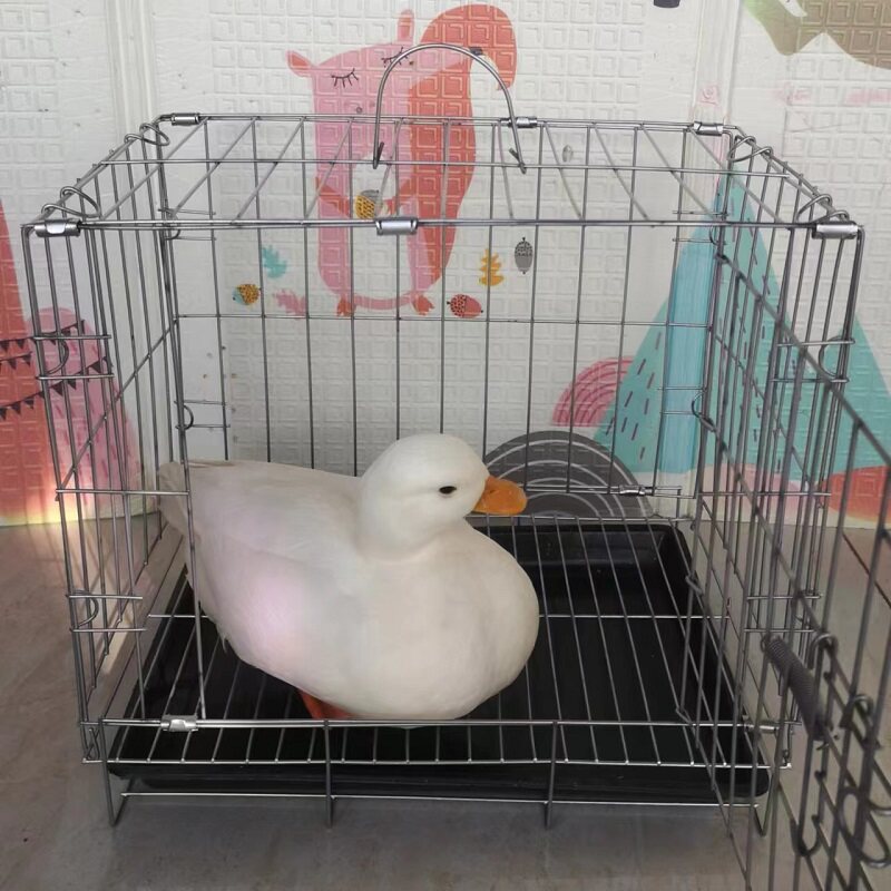 折叠铁丝笼/不锈钢笼鸡笼鸭笼鸽笼鹅笼兔笼小猫小狗宠物通用笼子