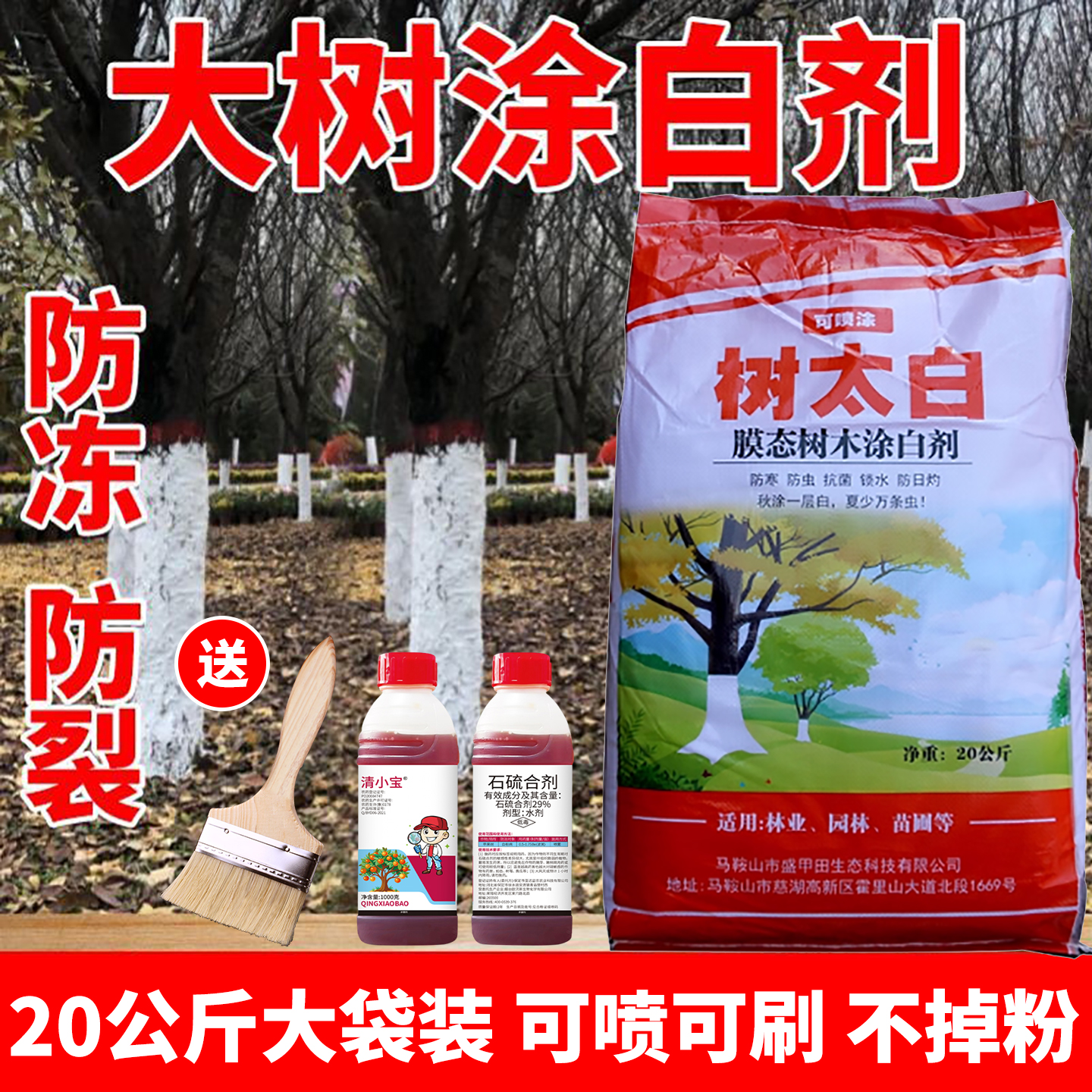 可喷涂不掉粉大树干刷白果树涂白园林涂白粉树干涂白液树木涂白剂