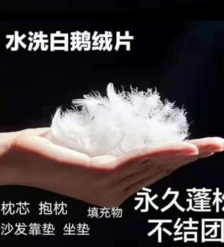 白鹅毛羽毛填充物羽毛抱枕坐垫靠垫枕头