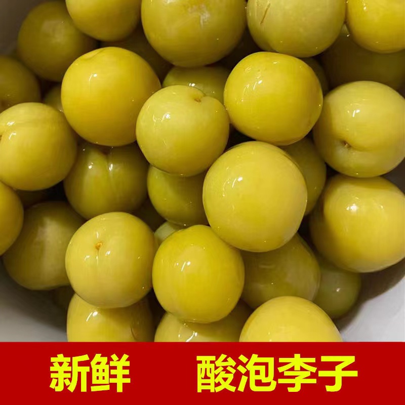 酸李子广西腌制酸料特产