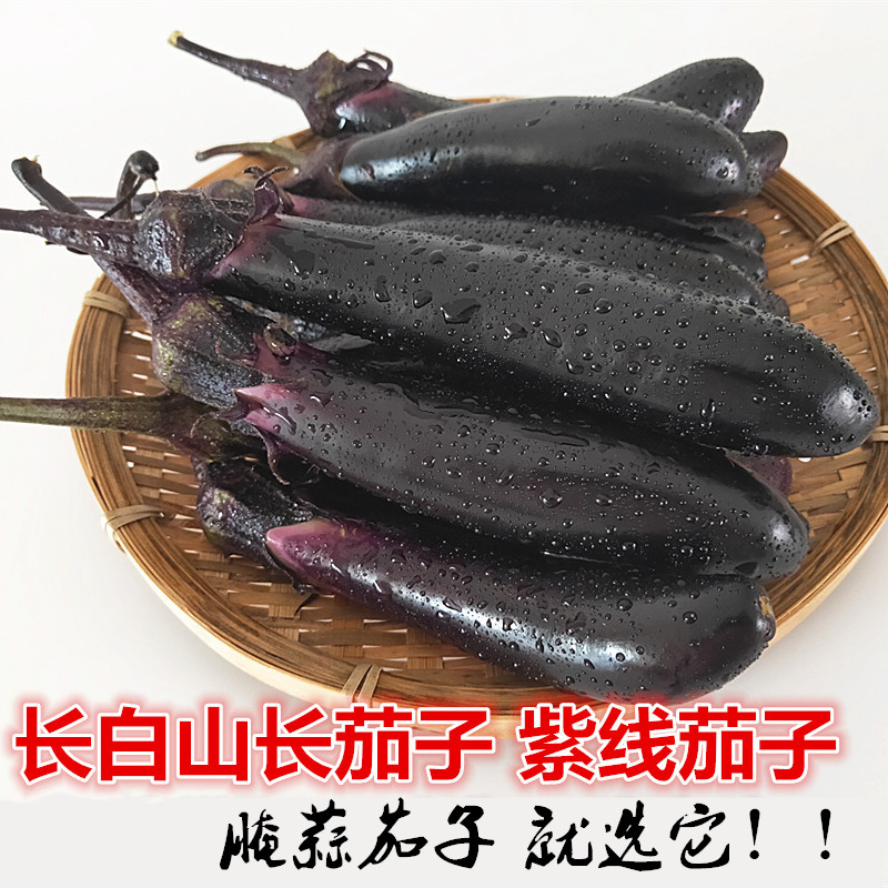 现摘紫把长茄子5斤东北新鲜紫线茄子食用小嫩茄子蒜茄子蔬菜包邮