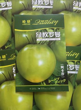 【阿卡莎绿罗曼绿苹果柿子种子】岭研番茄种子大果型原装绿色青皮