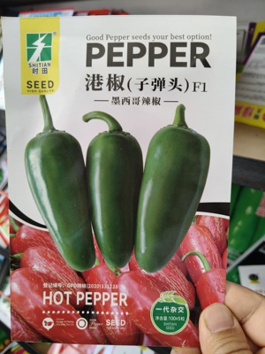 港椒辣椒种子墨西哥辣椒子弹头辣椒