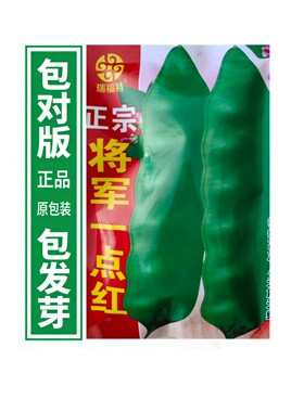 将军一点红豆角种子   东北正宗油豆种子宽角肉厚无筋无柴