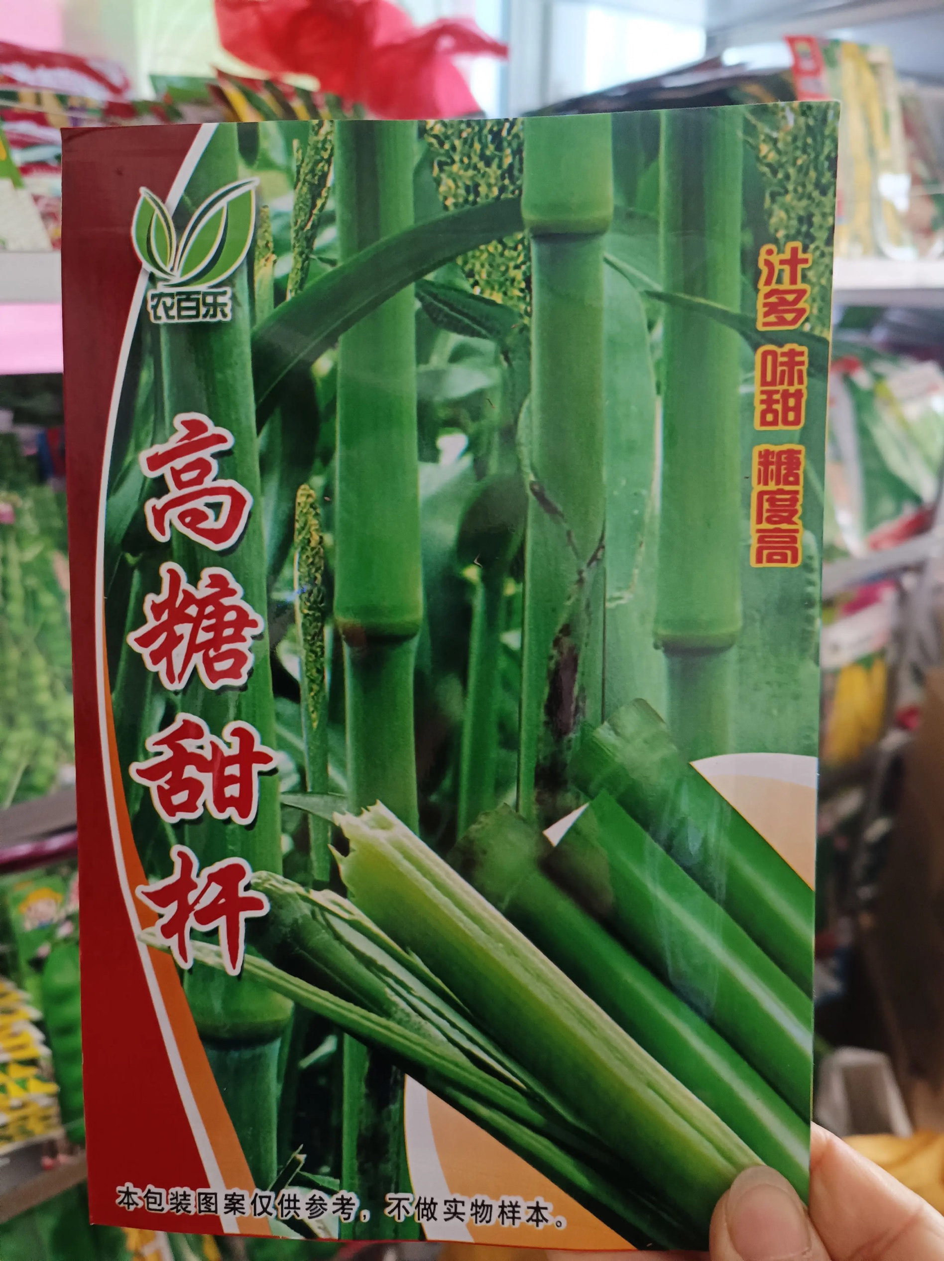 【高糖甜杆种子】甜高粱芦栗甜黍秸糖高粱种子脆甜多汁四季播春季