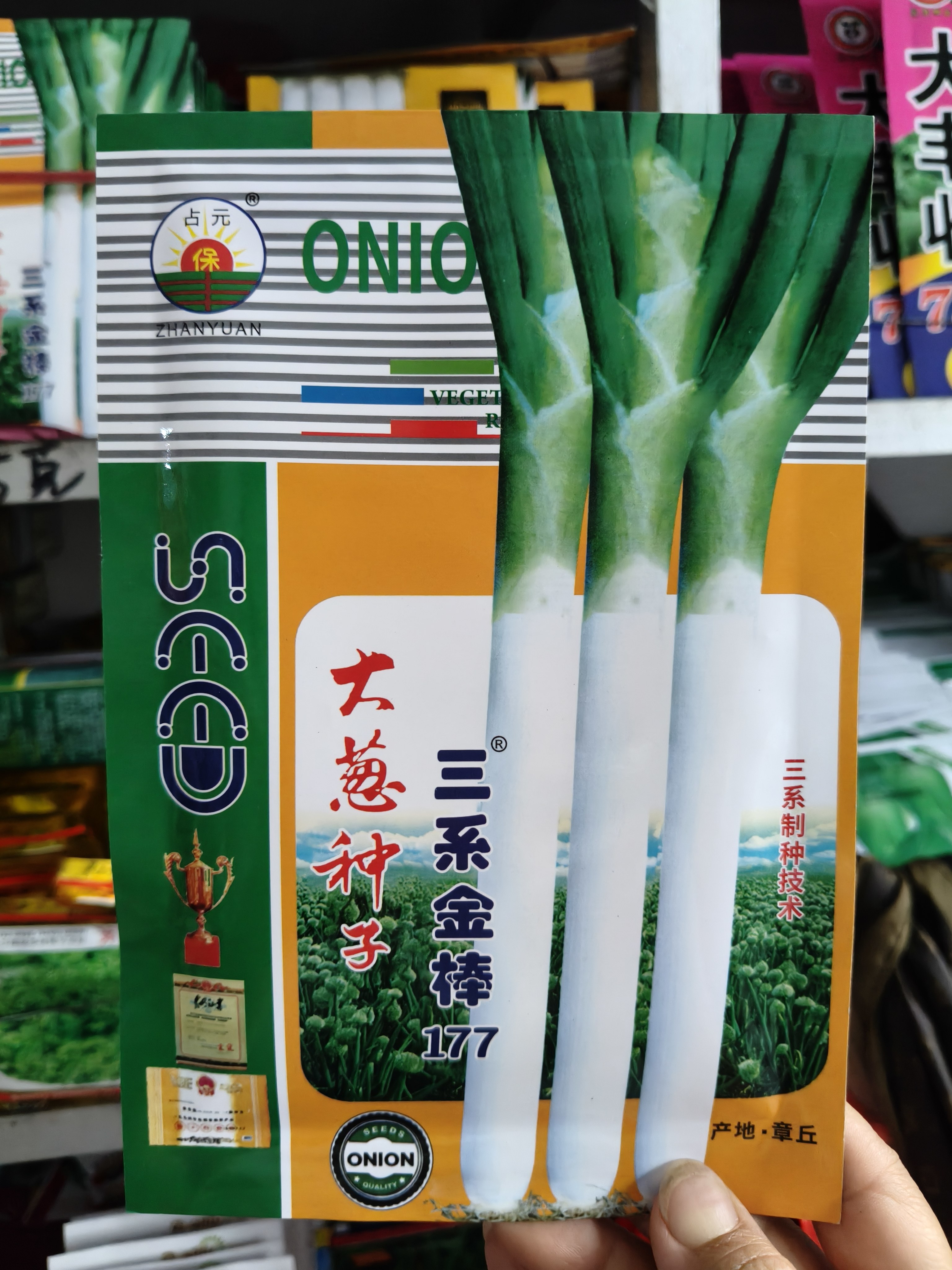 三系金棒177章丘铁杆大葱种子蔬菜种子/种苗