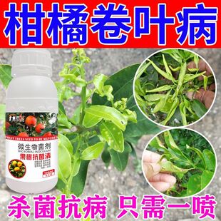 柑橘抑菌剂柑橘病菌清微生物菌剂疮痂病溃疡病炭疽病青霉病污霉病