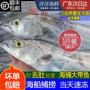 潮汕青眼带鱼新鲜冷冻金翅带鱼商用海鲜水产海捕刀鱼小黄带鱼500g