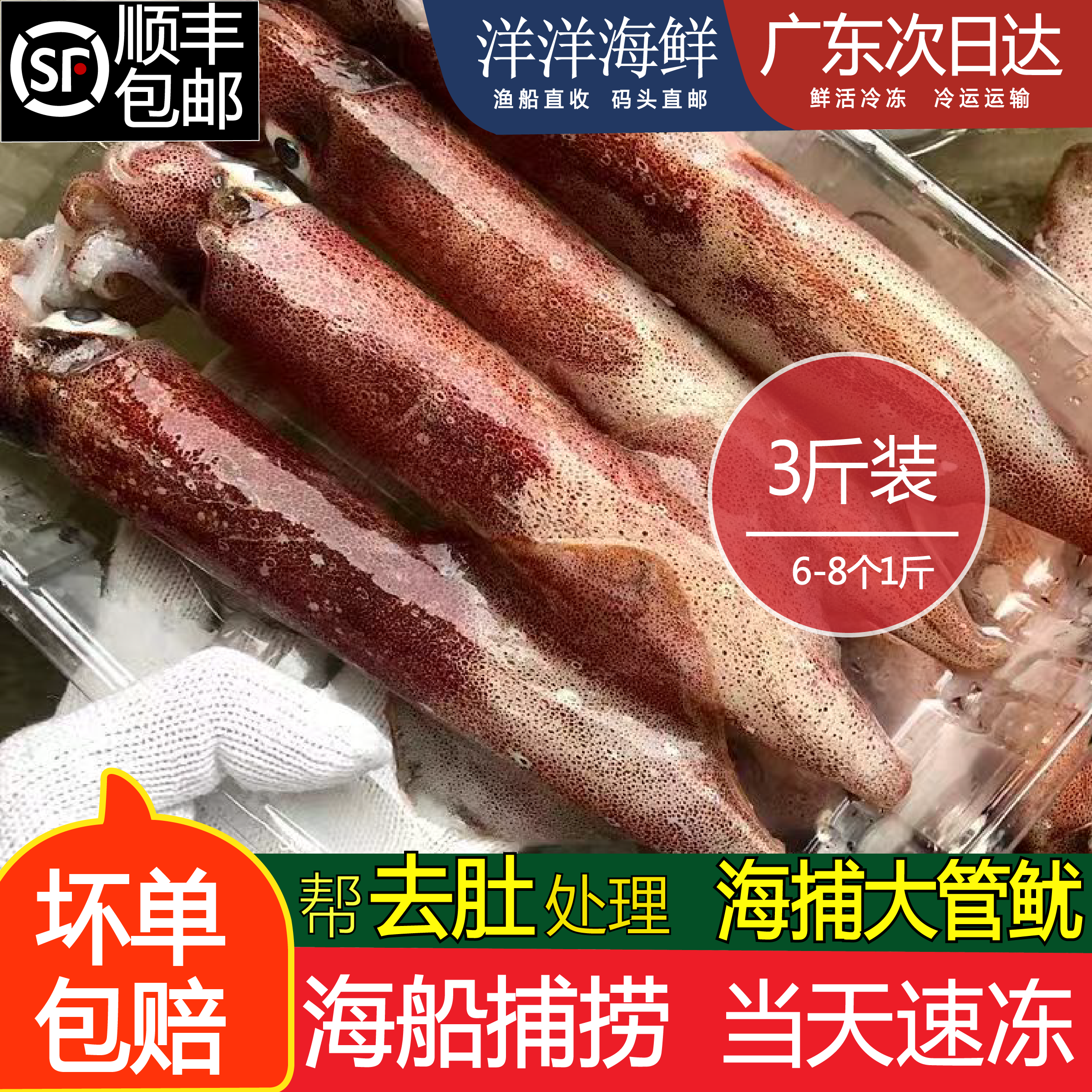 海钓大鱿鱼无泡水新鲜活鱿鱼速冻海鲜墨鱼章鱼海兔子大笔管鱼水产
