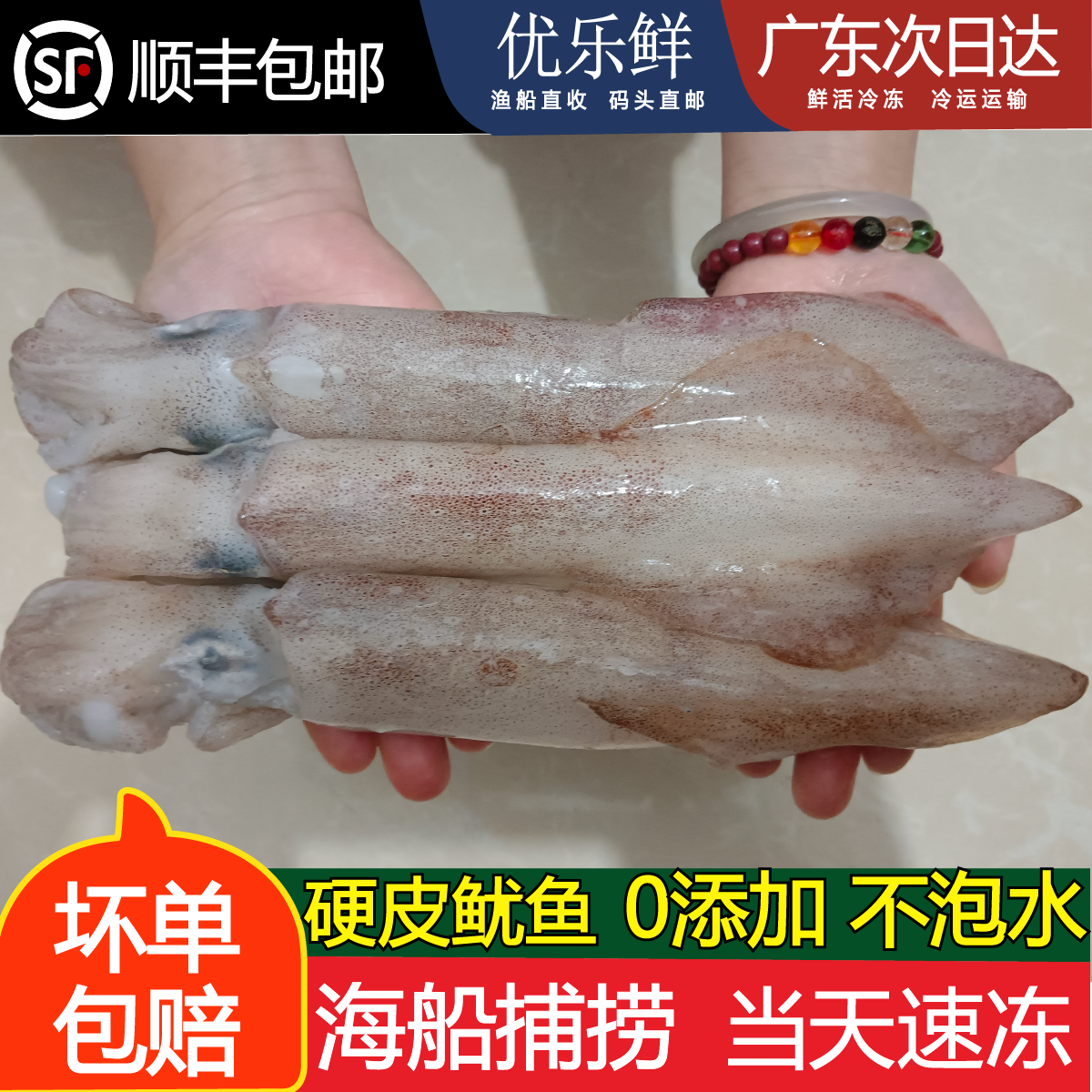 3斤新鲜海捕大鱿鱼海兔子新鲜速冻章鱼铁板烧烤脆皮鱿鱼1-2个1斤