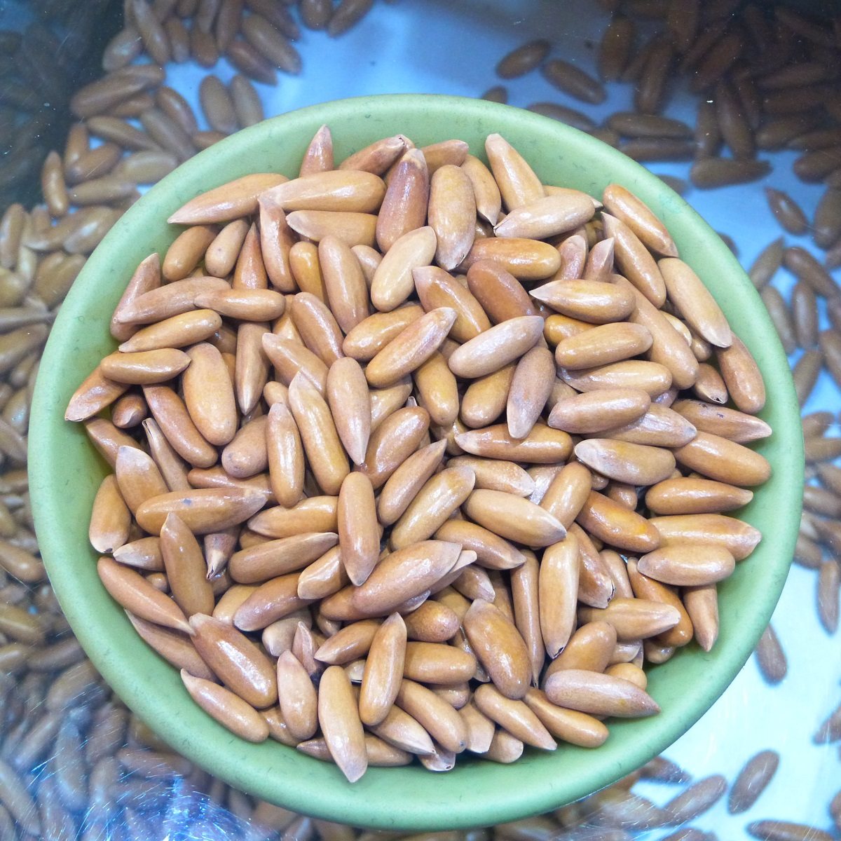 上臣手剥松子2025年11月新货巴西松子净重五百克坚果零食,零食/坚果/特产,东北松子,淘宝优惠券,粉丝福利购,淘宝优惠卷