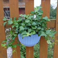 Синий невзгода [1]