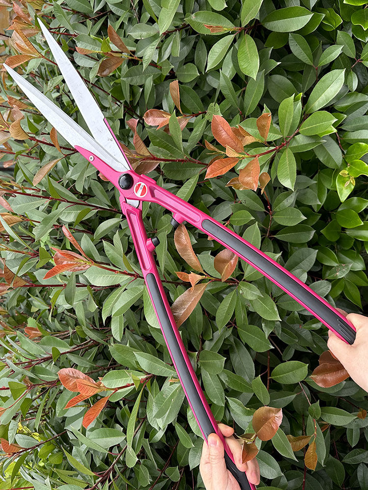 进口园林花木修剪绿篱剪大剪刀园艺绿化草坪修枝剪工具篱笆剪树枝