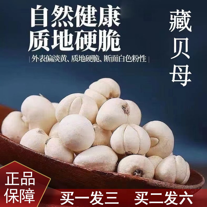 正宗西藏野生藏贝母非川贝平贝无硫100g袋装煲汤糖水纯天然中药材