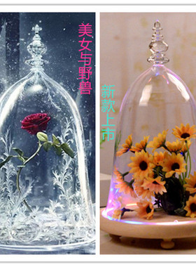 防尘罩求婚微景观展示盒永生花