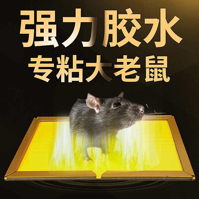 마스터 CHEN JIN LAODA 강력한 끈적 쥐 보드 초대형 쥐 구충제 특수 스틱 큰 쥐 가정용 10 쥐 함정 유물 잡기