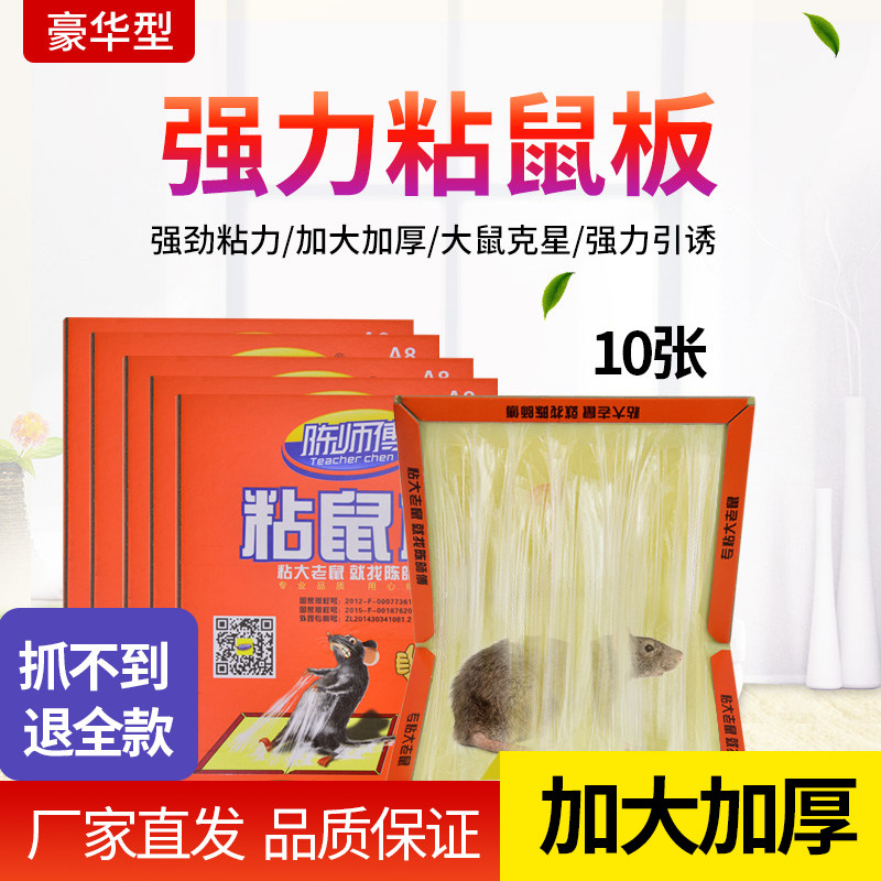 쥐 스티커 초강력 끈적끈적한 쥐 보드 확대 및 두꺼워진 가정용 저렴한 장비와 큰 쥐 유물을 잡기 위한 미끼 MASTER CHEN