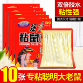 陈师傅超强力粘鼠板加大加厚捉大老鼠贴粘鼠胶捕鼠神器家用一窝端