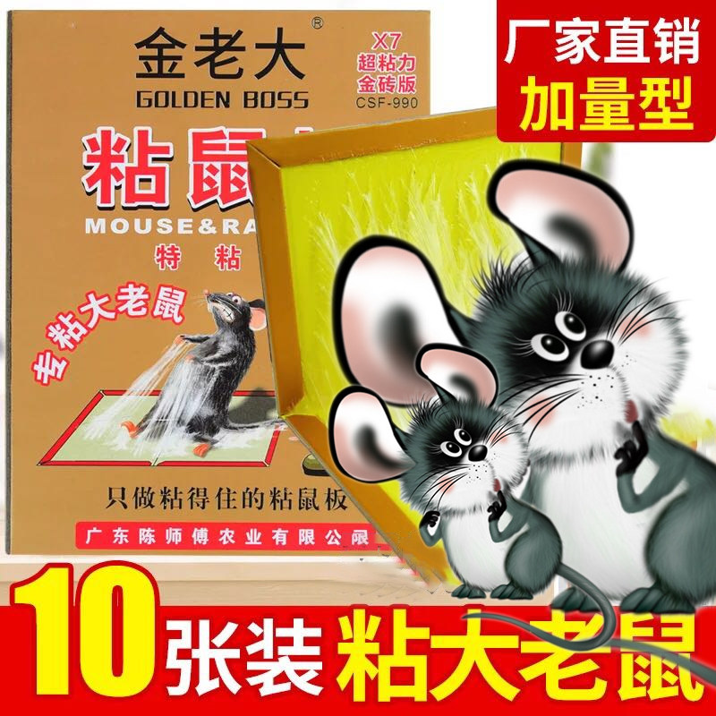 마스터 CHEN JIN LAODA 강력한 끈적 쥐 보드 초대형 쥐 구충제 특수 스틱 큰 쥐 가정용 10 쥐 함정 유물 잡기