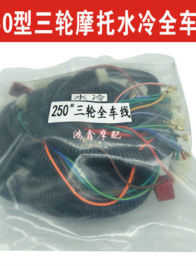 摩托车DIY250300大线线路总成