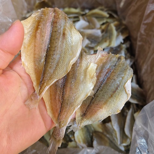 北海特产黄花鱼片自晒鱼干滑仔片开心鱼淡干鱼片烧烤鱼片