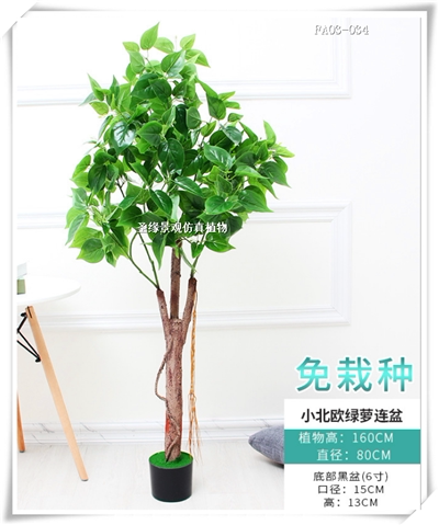 北欧仿真小绿萝黄金来山茶树盆栽室内仿真植物装饰绿植假绿萝盆栽