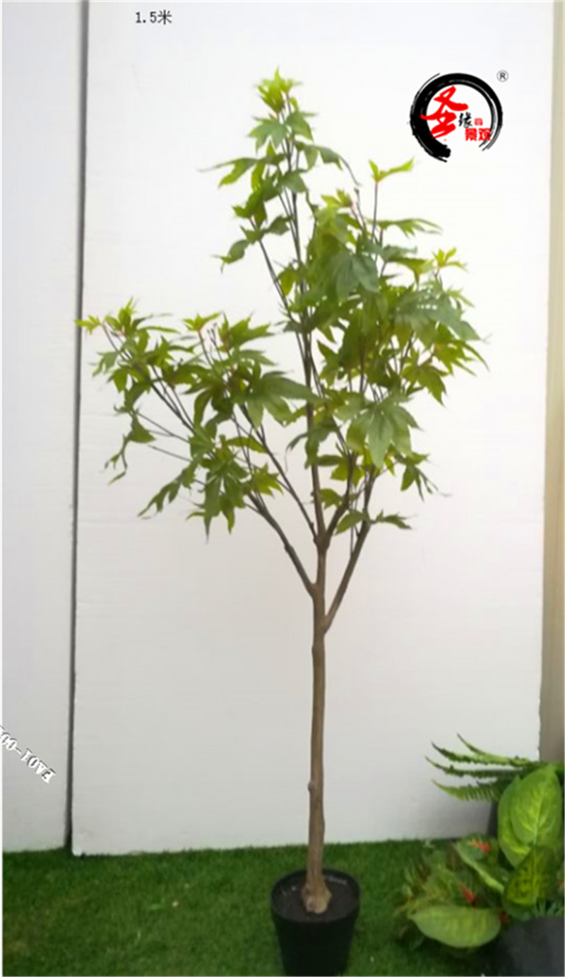 5米麻子树绿枫树麻杆八角金盘假树田园风装饰摆件