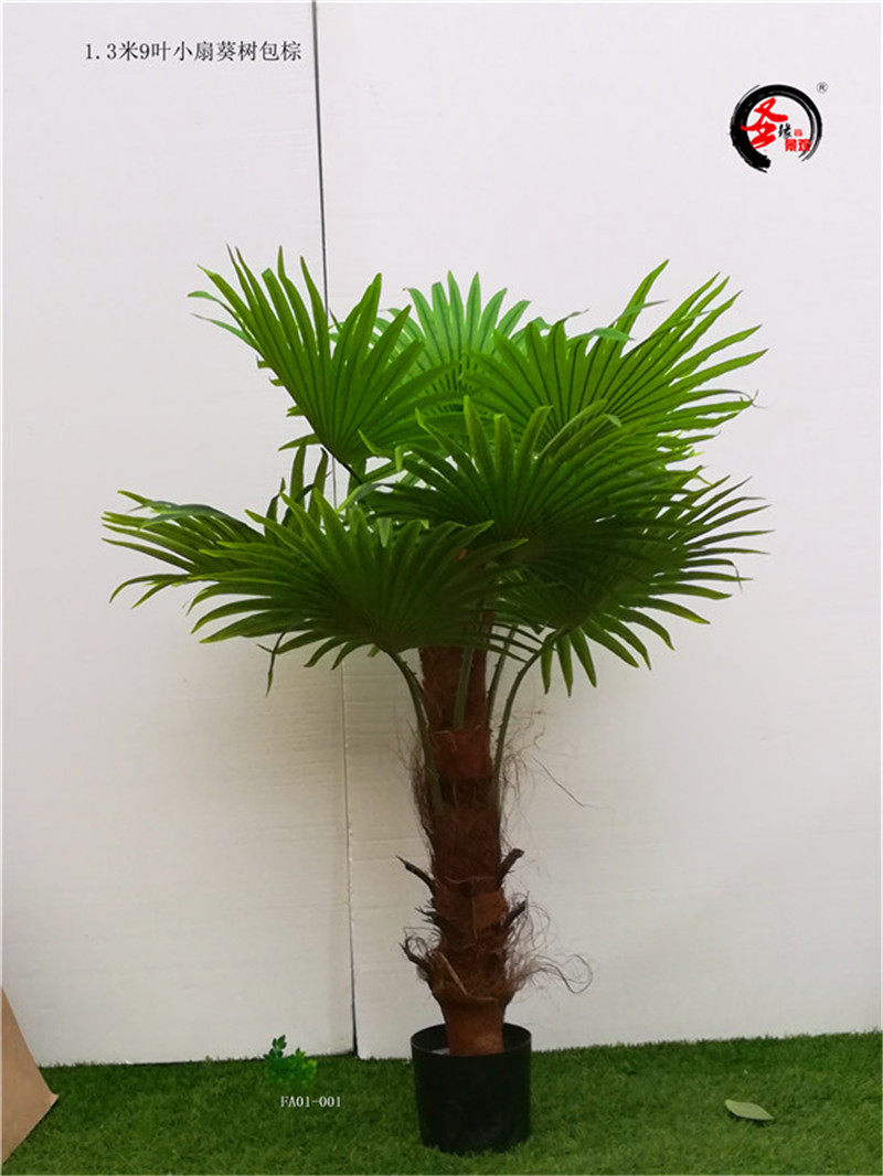 3米假扇形大片叶树盆栽包棕老人葵蒲葵热带植物造景