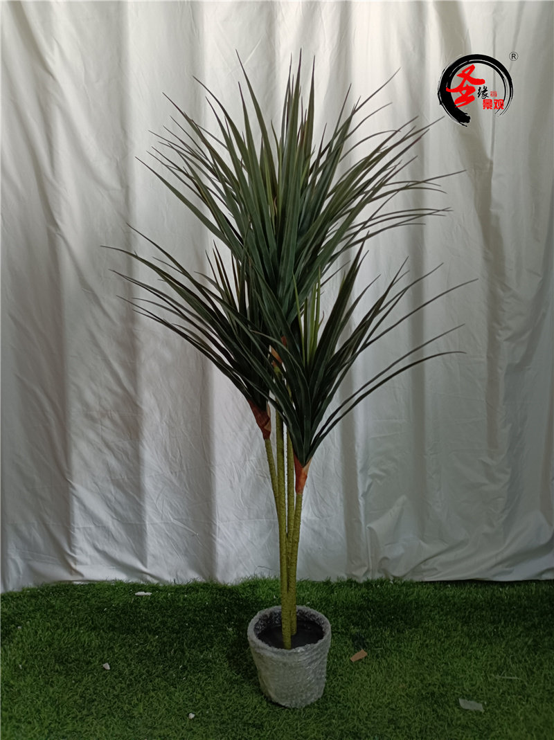 1米龙血草龙血铁洋铁树巴西铁北欧ins风植物假盆栽