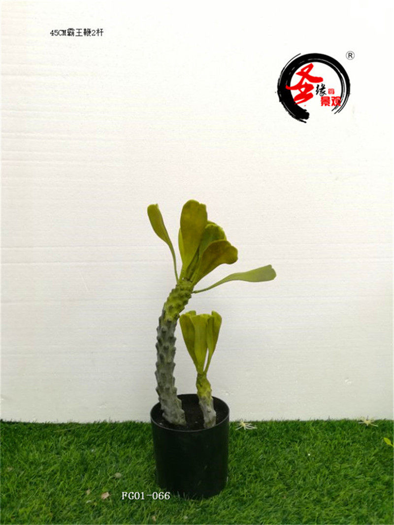 ab仿真霸王鞭45cm2杆假霸王树热带火焰火掌仙人掌盆栽非洲霸王树