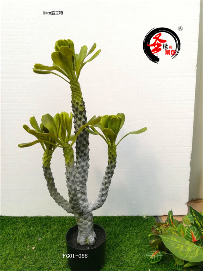 ab假霸王鞭80cm棒棰树仿真非洲霸王树仙巴掌带刺仙人棒热带绿植假