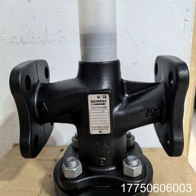 VVF53.40-25二通蒸汽阀