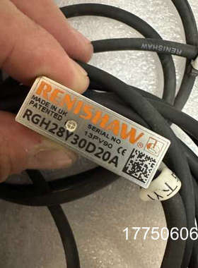 雷尼绍RGH28Y30D20A 光栅尺读数头