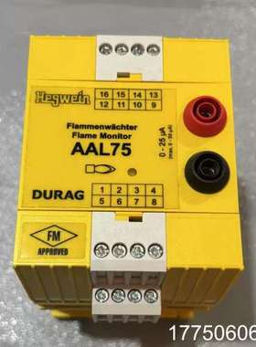 德国海格文Hegwein火焰放大器AAL75，DURAG