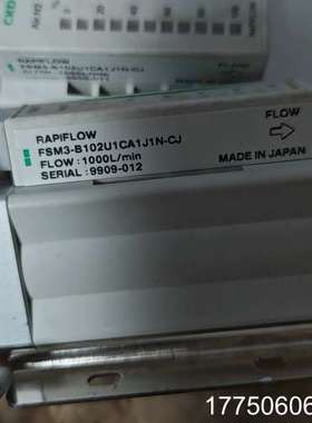 闲置两个CKD流量计，型号是FSM3-B102U1CA1J