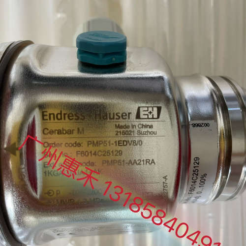 E+H PMP51-1EDV8/0