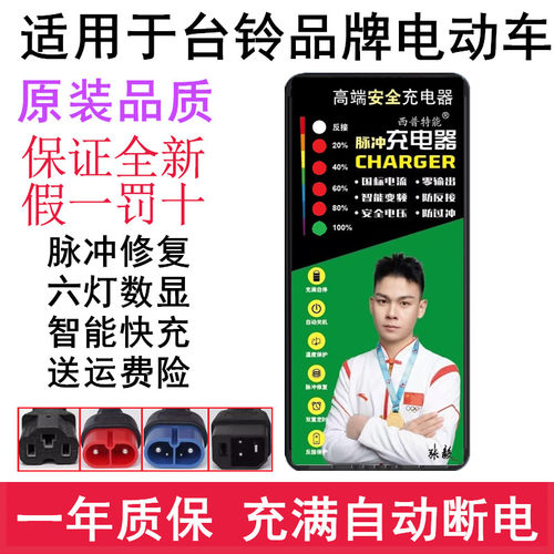 适用台铃电动车铅酸充电器自断电