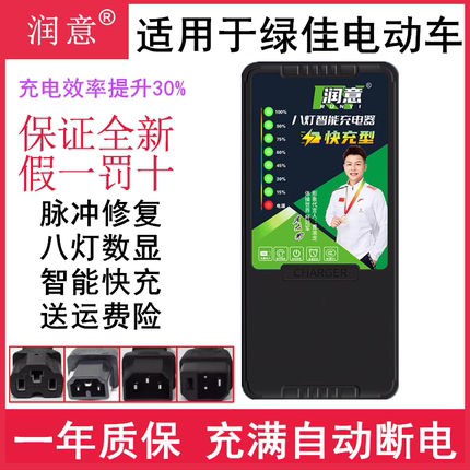 适用于绿佳电动车电瓶充电器48V12AH60V20A72V新国标内插自动断电