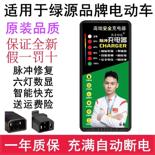适用绿源电动车48V12AH60V20AH72VT铅酸两竖原装版充电器自动断电 - 封面