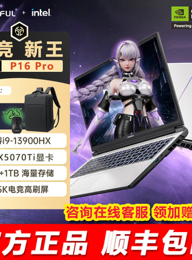 七彩虹隐星P16Pro RTX5070Ti/i9-13900HX 16英寸游戏本笔记本电脑