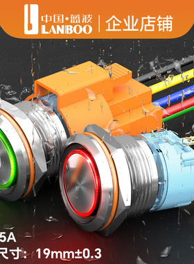 LANBOO19mm铜镀铬金属按钮开关自锁复位带灯红绿蓝色可定制IP65