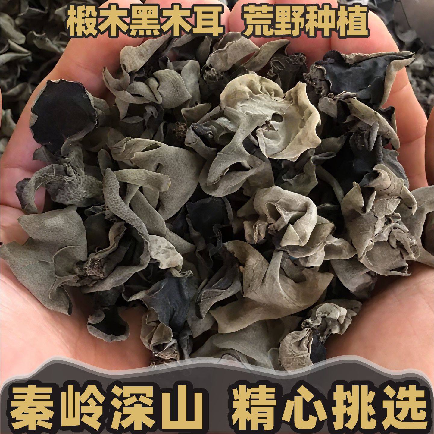 椴木黑木耳干货特东级北官方旗舰店秦岭深山自然荒野生长一级特产