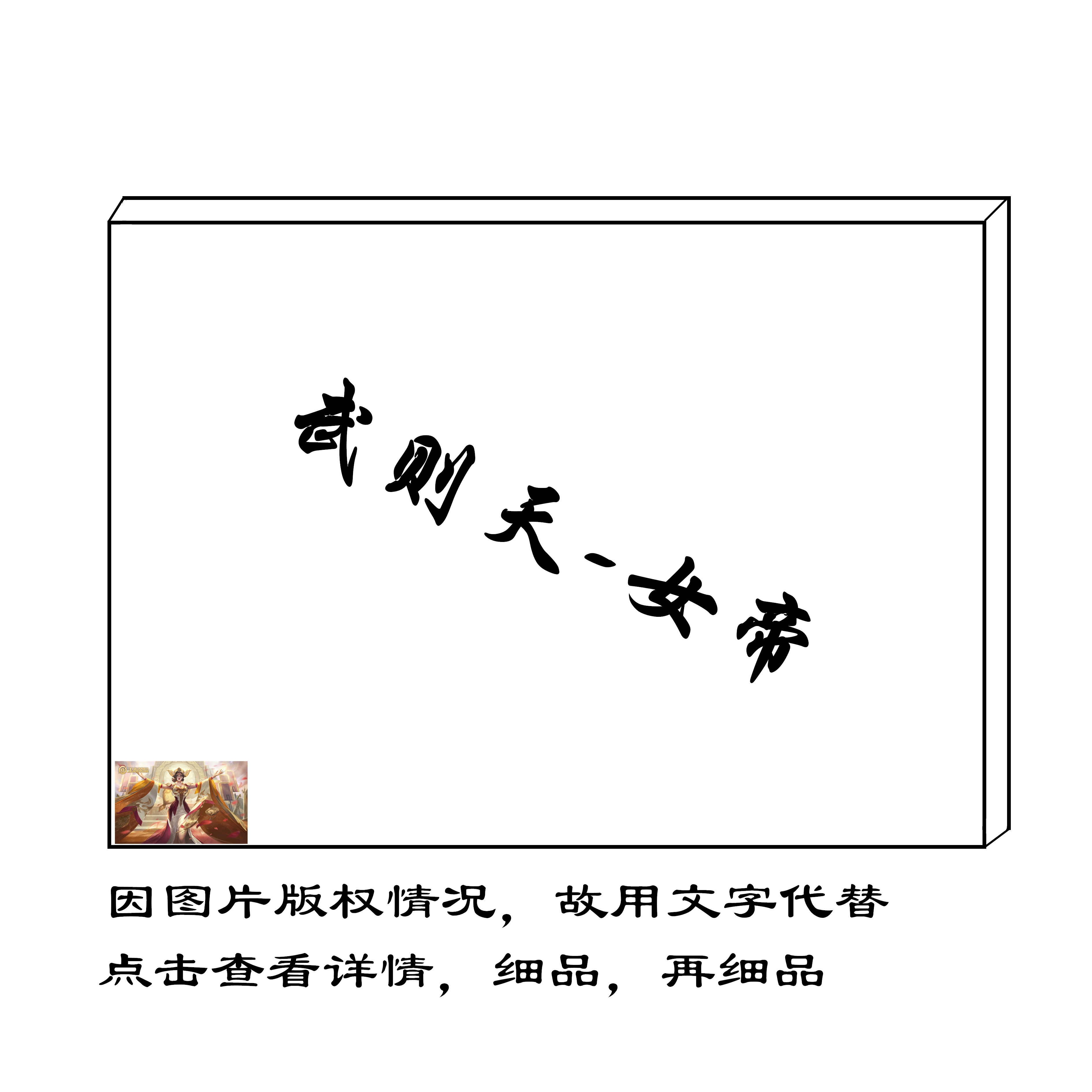 王者荣耀 武则天女帝diy减压数字油画游戏填色角色人物室内挂画