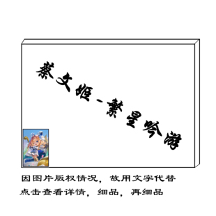创意diy数字油画王者荣耀游戏填色蔡文姬繁星吟游角色人物室内画