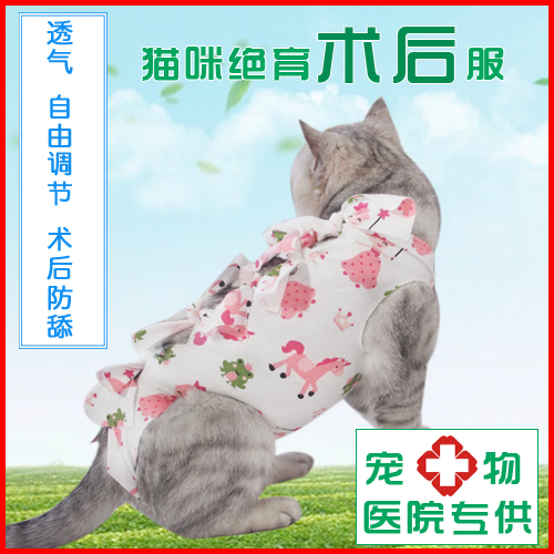 防舔猫咪绝育术后断奶服