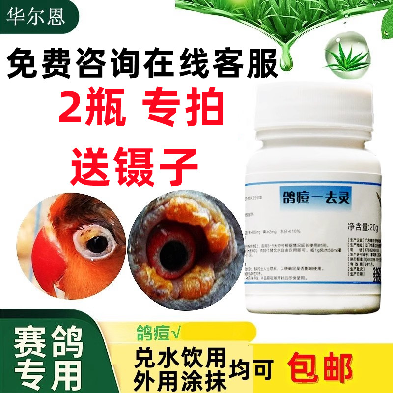 鸽子用品非鸽子鸽痘鸽药信鸽赛鸽子药品大全鸽豆一去灵鸟痘豆鸽痘