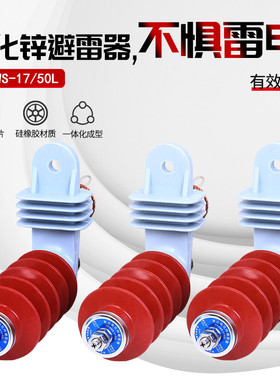 10KV 脱挂型 高压氧化锌避雷器 HY5WS-17/50L 带安装支架带脱离器