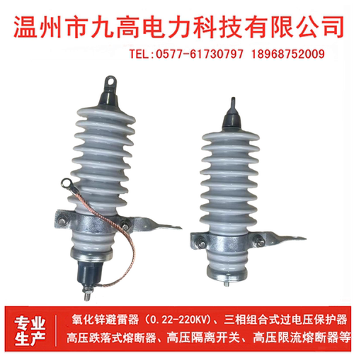 10kv高压陶瓷氧化锌避雷器