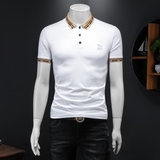 2024假模新款高端品质丝光棉男士潮流短袖T恤QT6012AFD8526T-P80，男装T恤，钱塘6012(原3012)